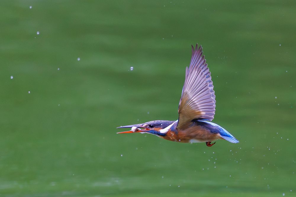 Photograph by Benny Chan