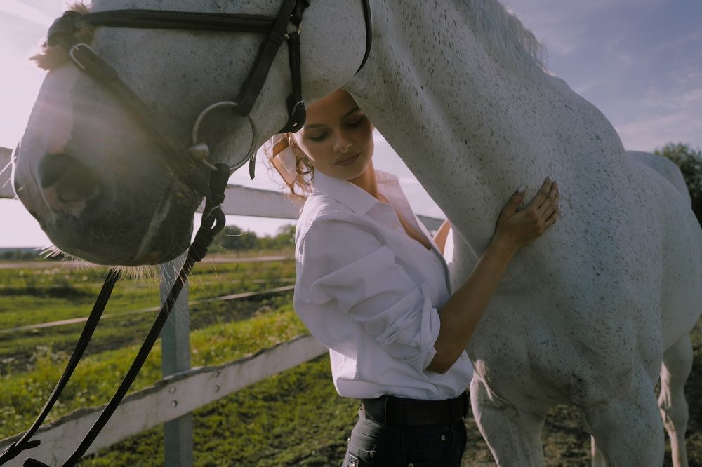 Photo #10030682