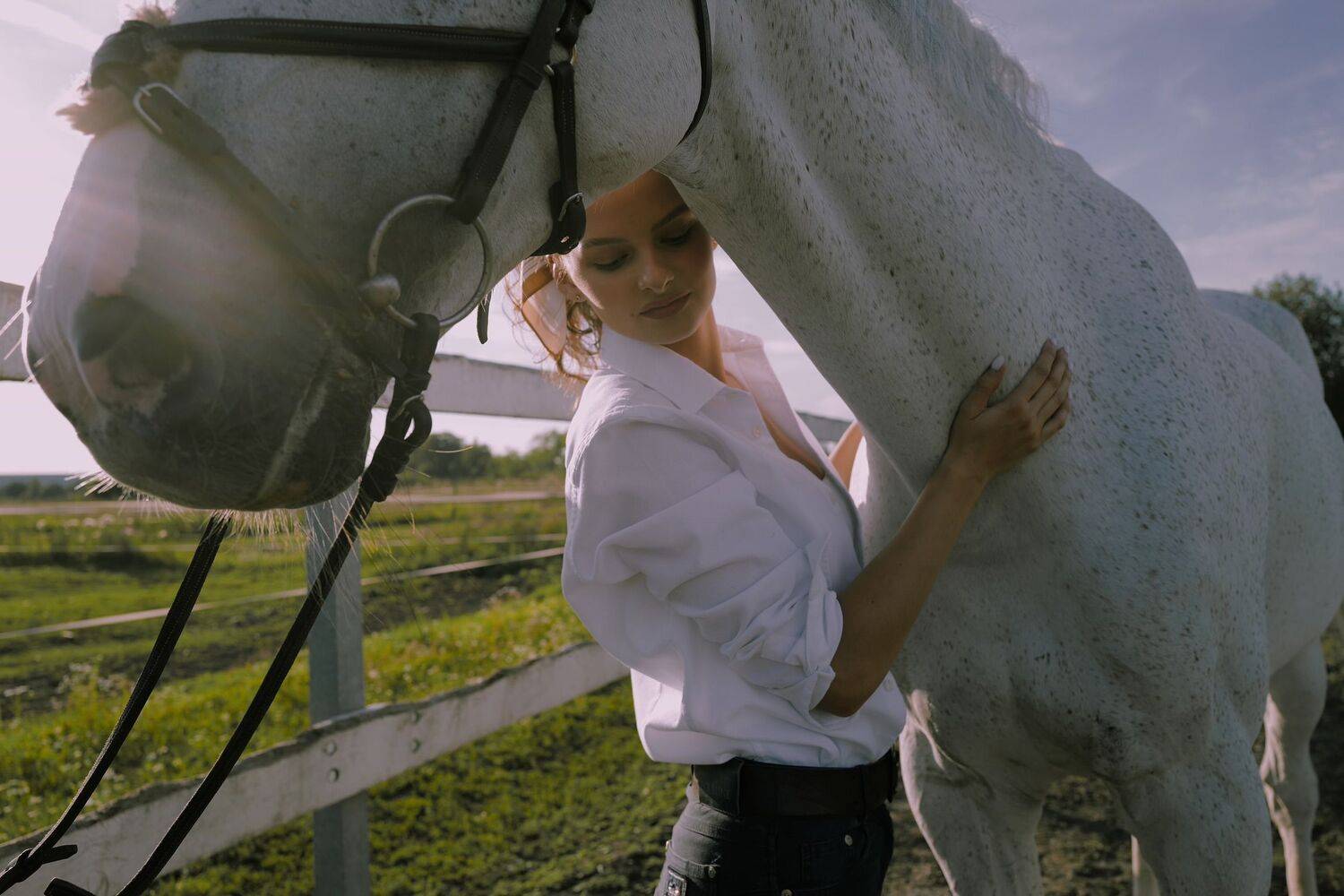 Photo #10030682