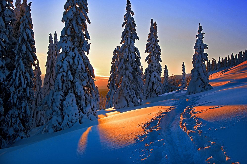 Фотография автора Olga Mamadzanova