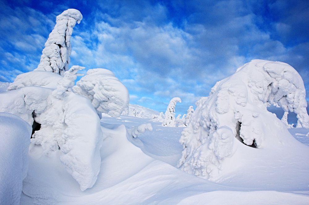 Фотография автора Olga Mamadzanova