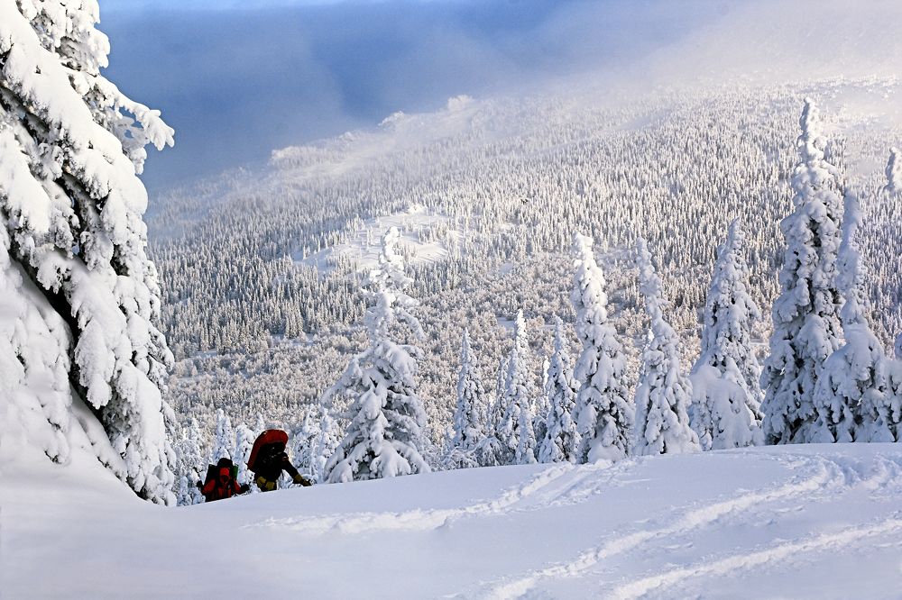 Фотография автора Olga Mamadzanova