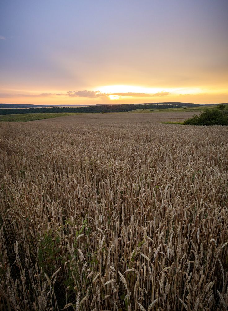 Photograph by Efremenko Nikita