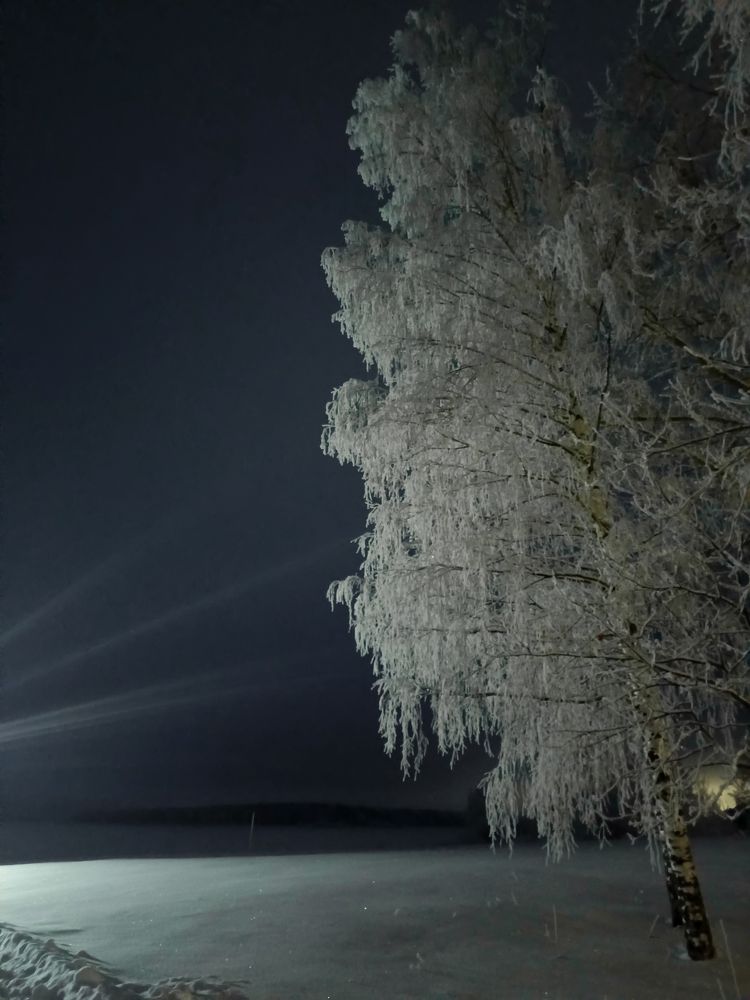 Photograph by Эдуард Седельник