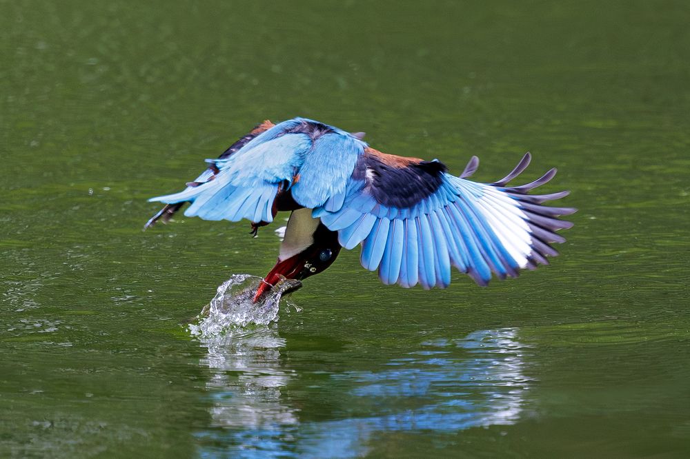 Photograph by Benny Chan