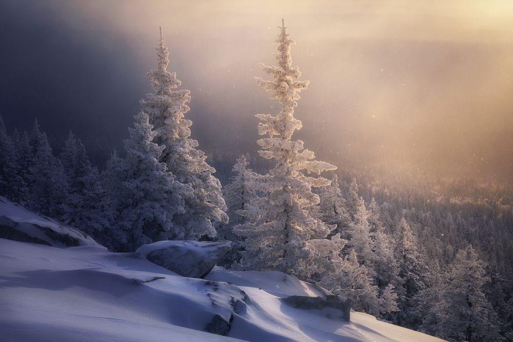 Photograph by Татьяна Бирюкова