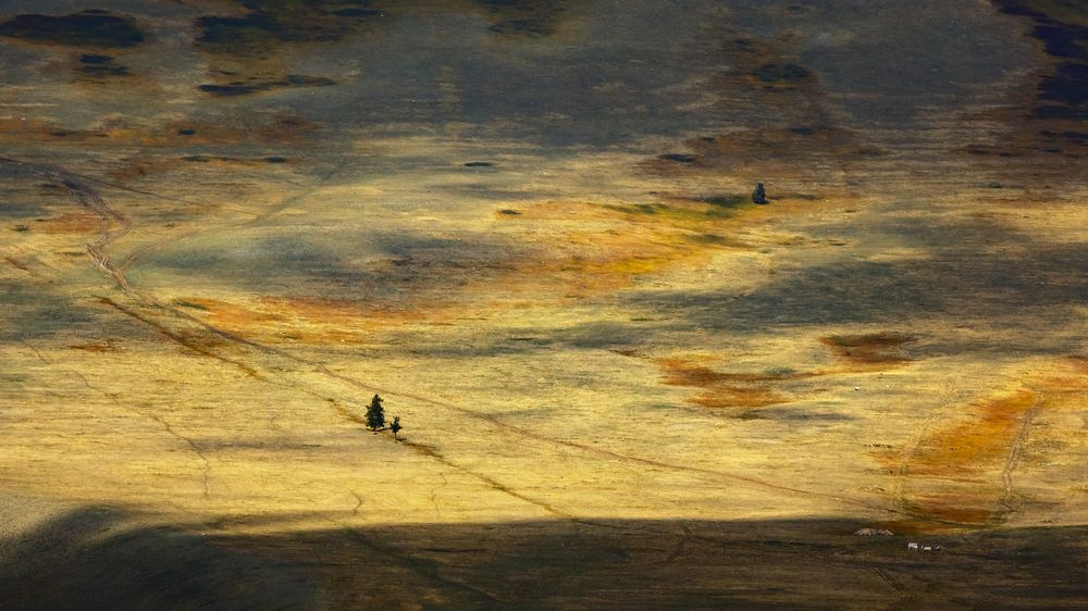 Цветной ковер!!!