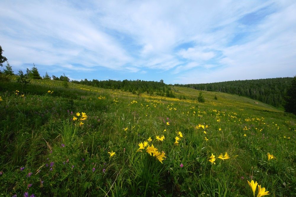 Photograph by Владимир Семиченко