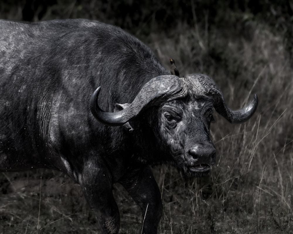 Фотография автора Gokul Addanki