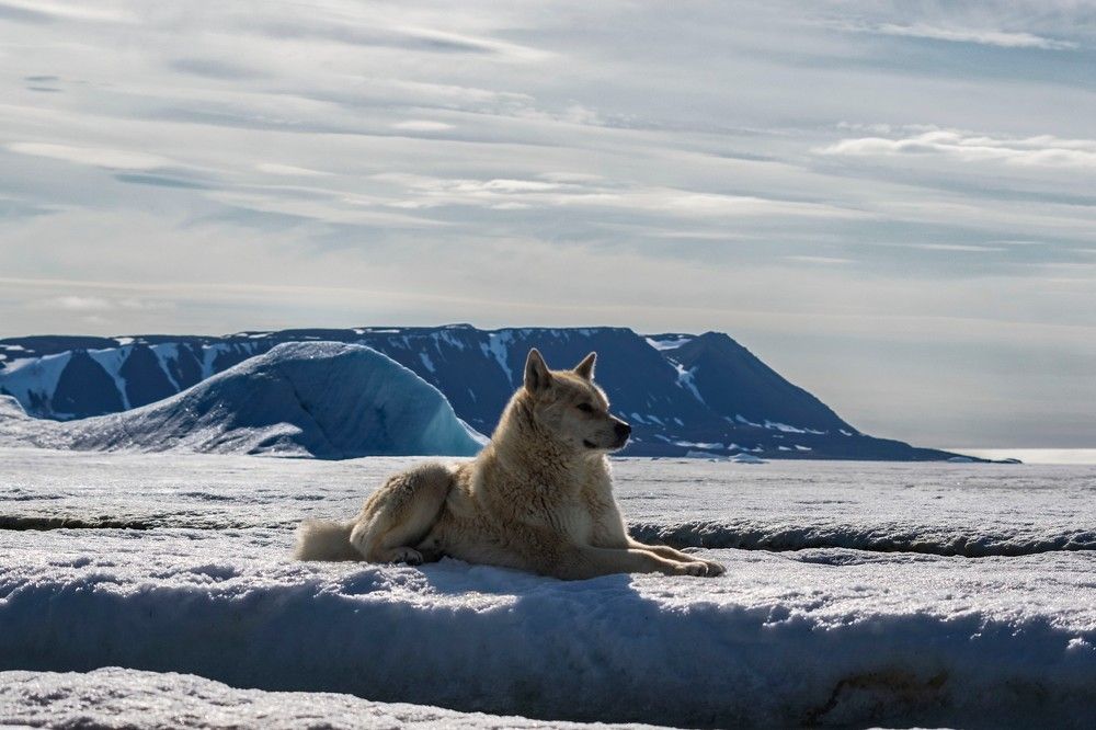 Photograph by Алексей Логинов