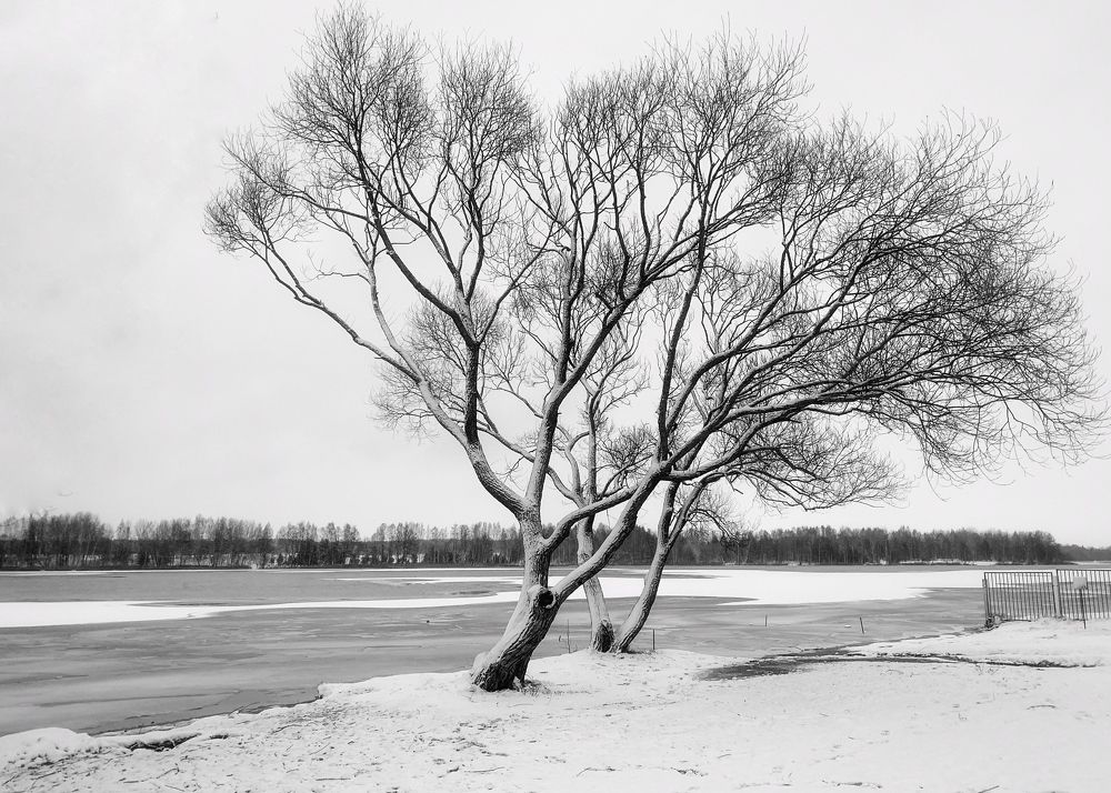 Photograph by Надежда Смирнова