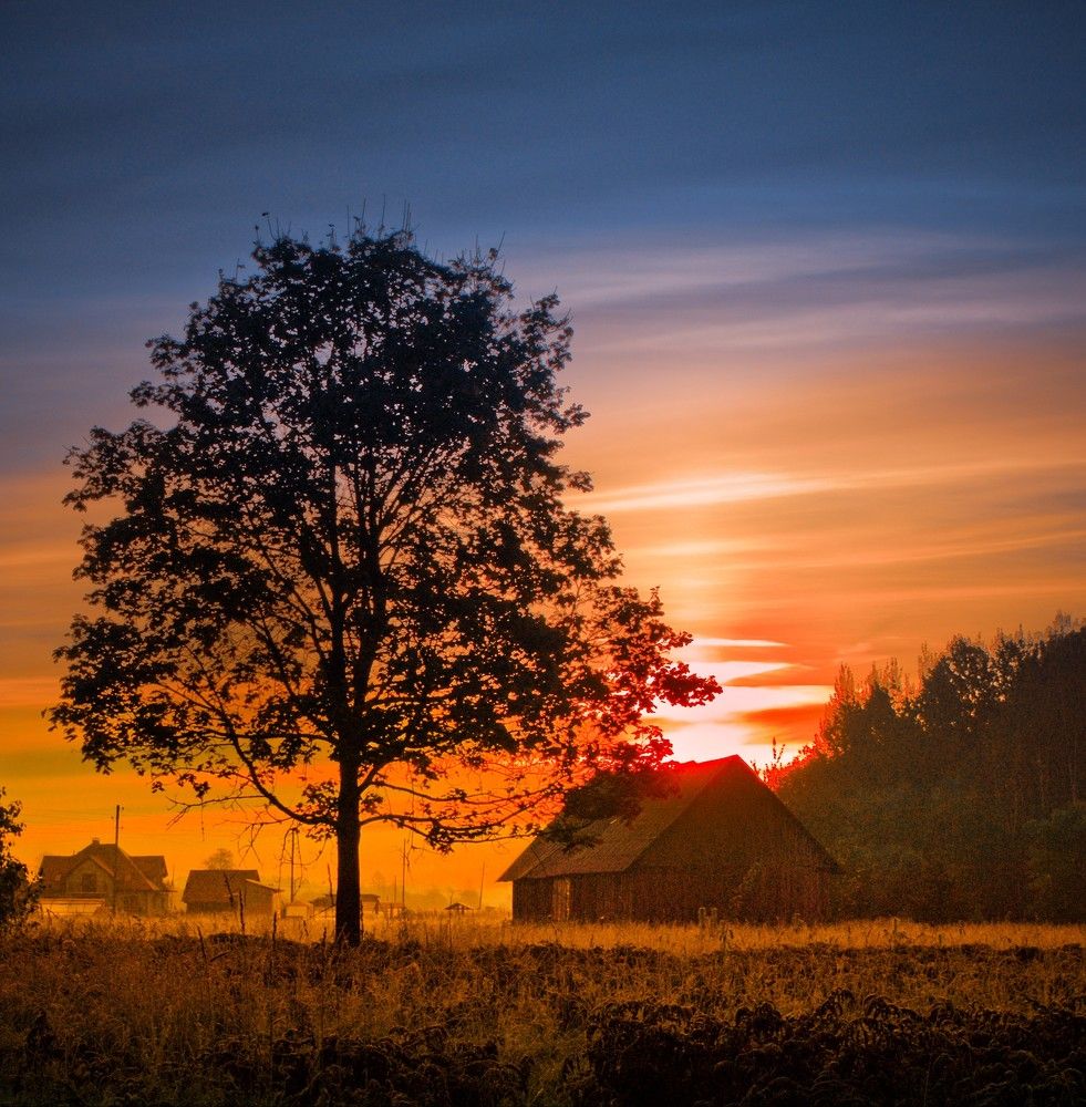 Photograph by Agita Leimane