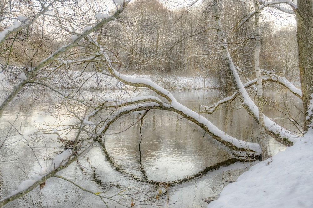 Photograph by Елена Пасажицкая