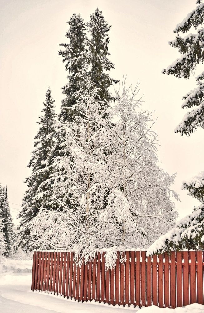 Photograph by Гульнара