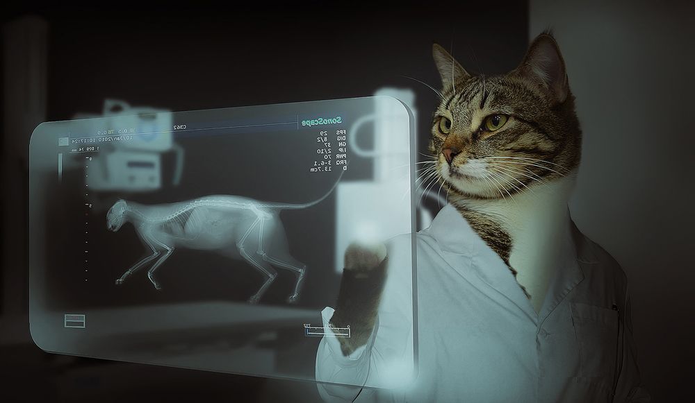 Photograph by Алексей Парамонов