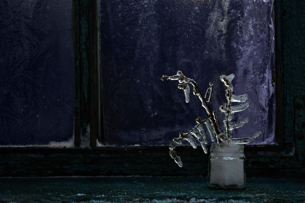 Photograph by Аркадова Елена