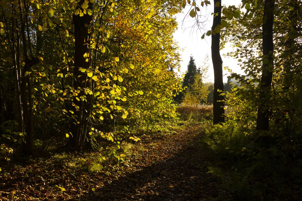 Photograph by Арсений Хотеев