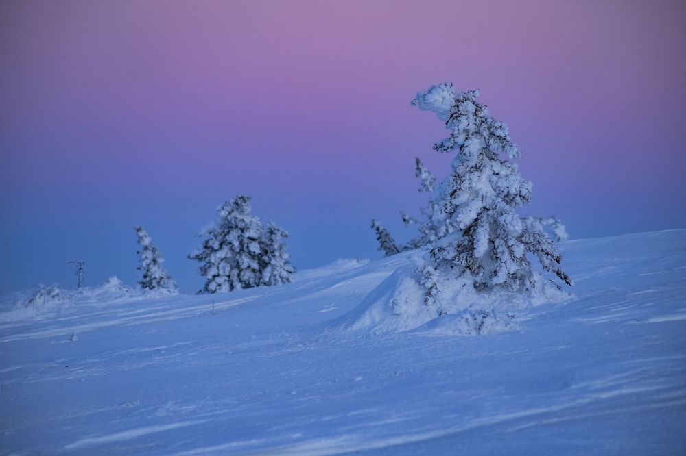 Photograph by Елена Перминова