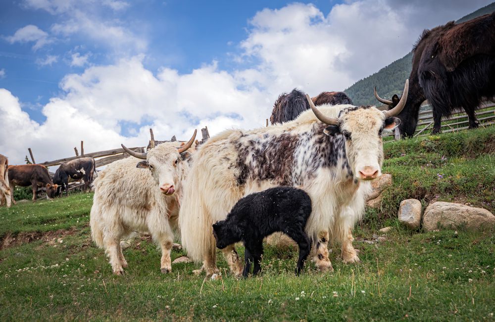 Photograph by Екатерина Волокитина