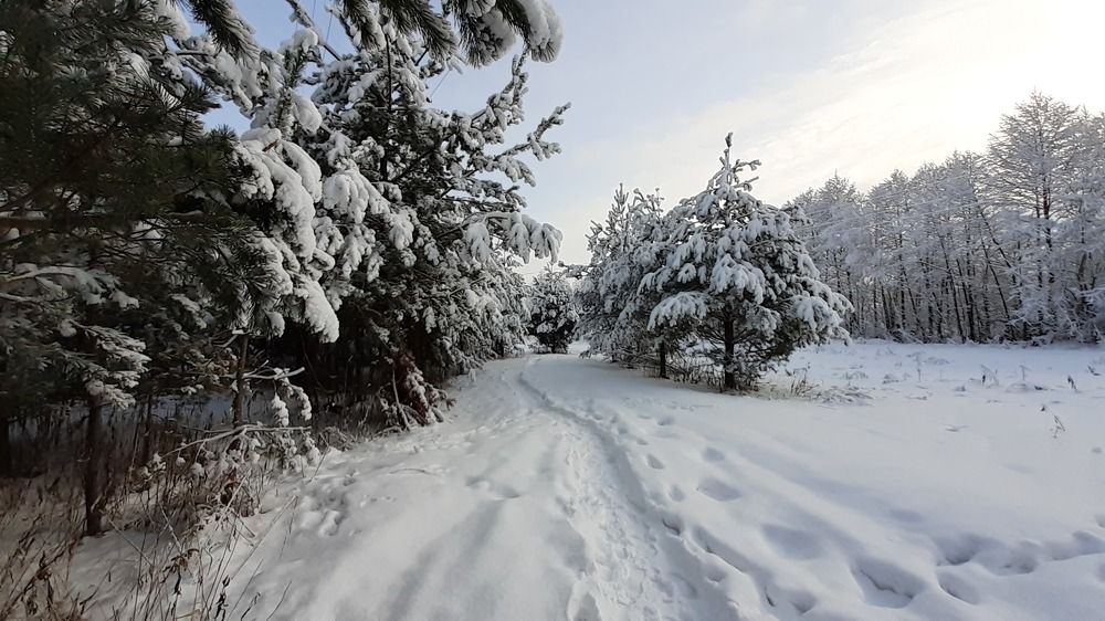 Photograph by Владимир Носов