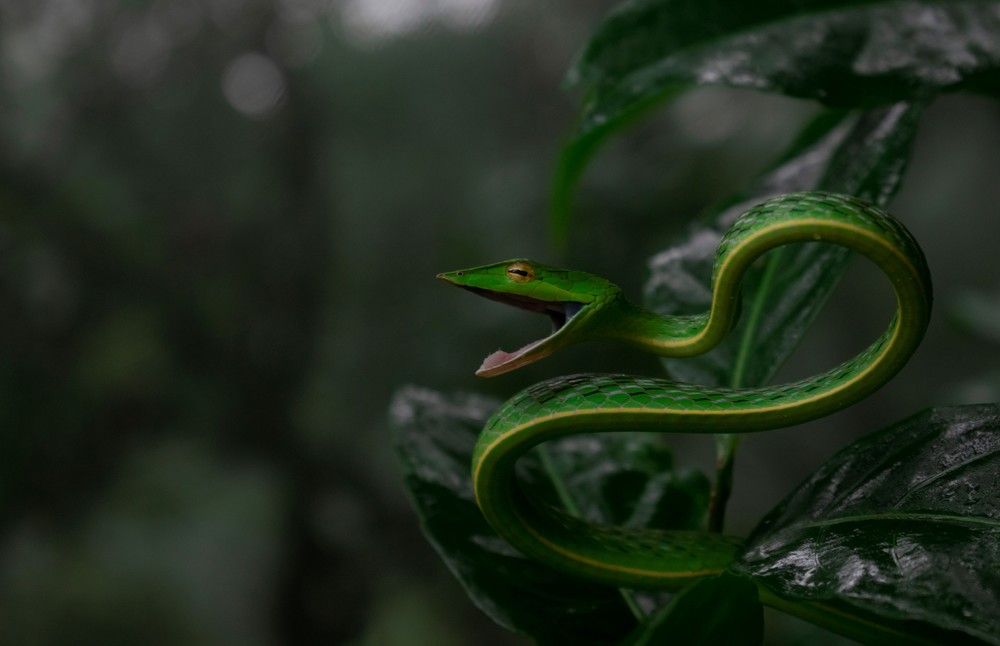 Photograph by Vedant Shetty