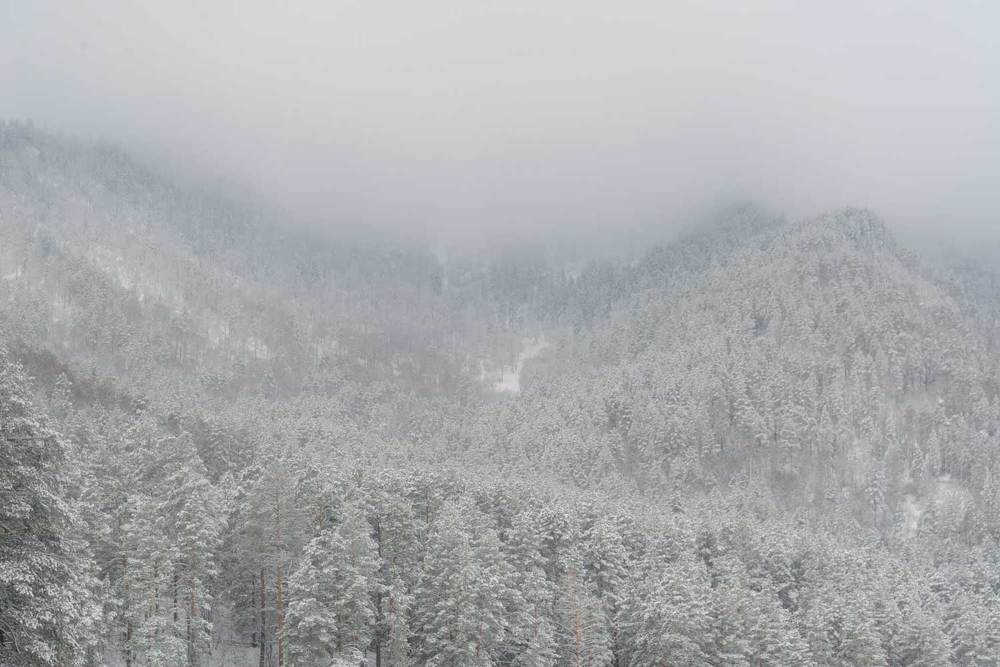 Photograph by Владимир Зубов