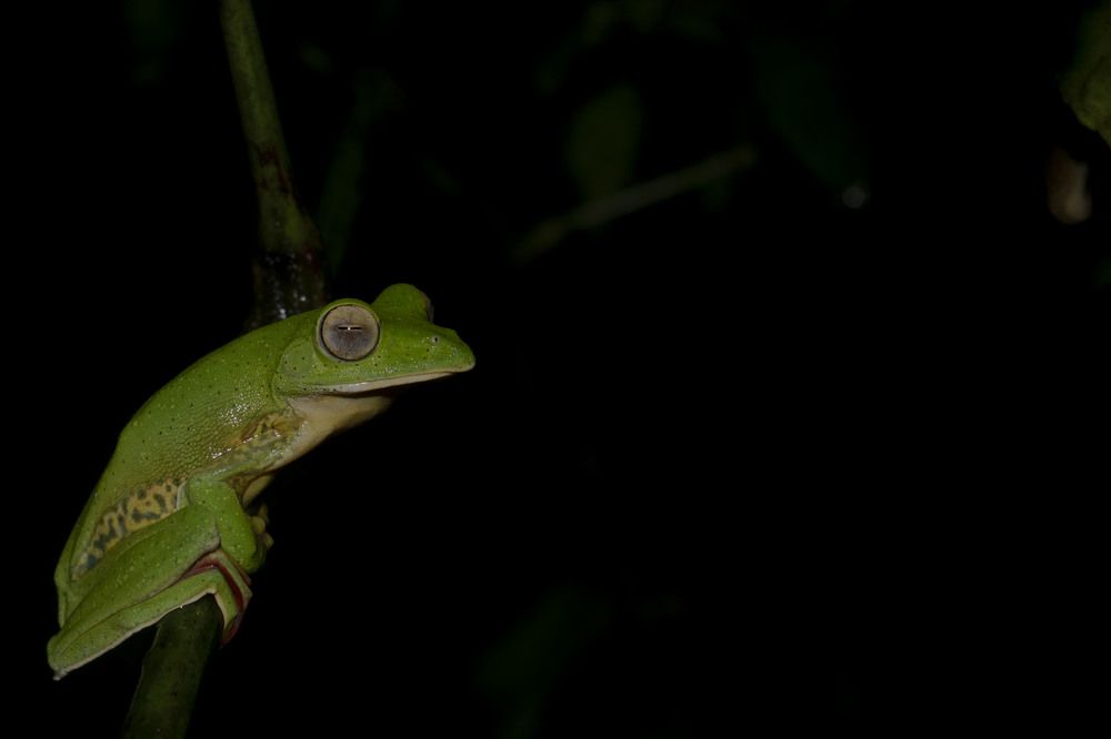 Photograph by Vedant Shetty