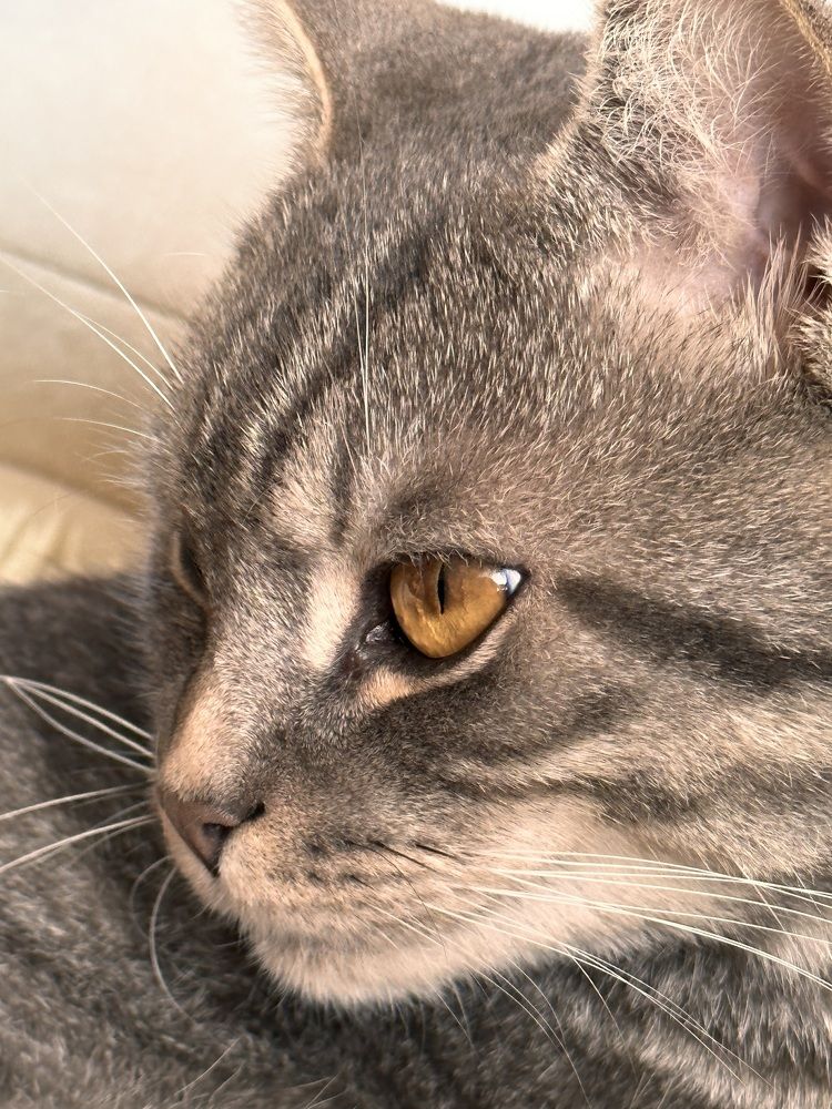 Photograph by Наталья Супрунюк