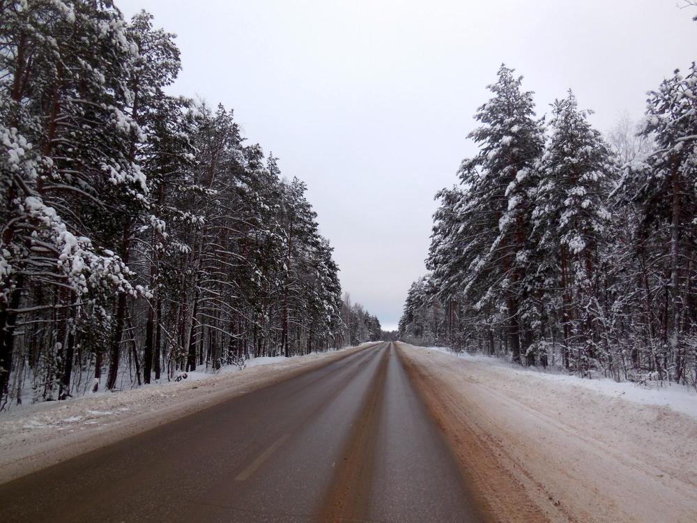 Фотография автора Павел Попов