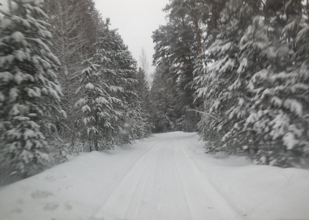 Фотография автора Павел Попов