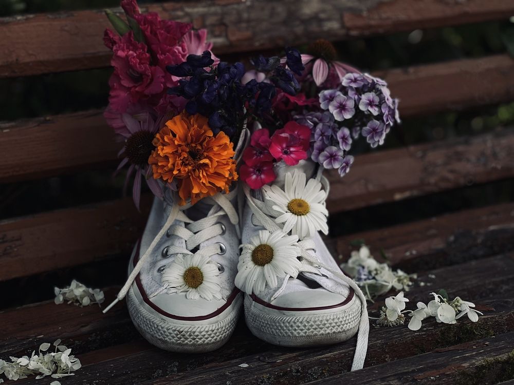 Photograph by Алена Жирова