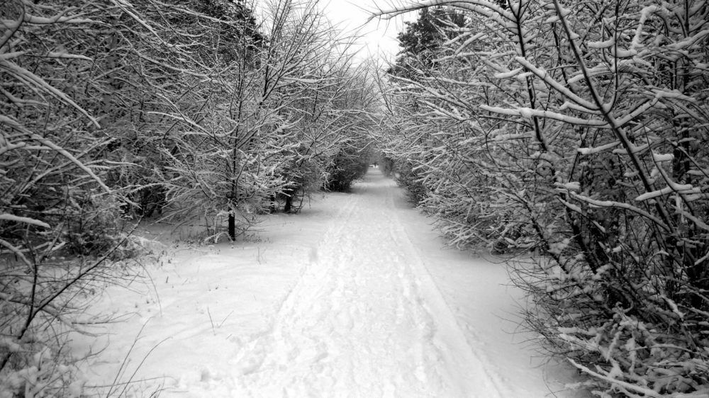 Фотография автора Павел Попов