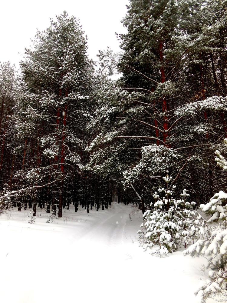 Фотография автора Павел Попов