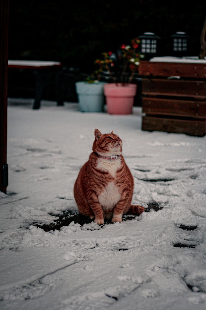 Photograph by Matthias Lim