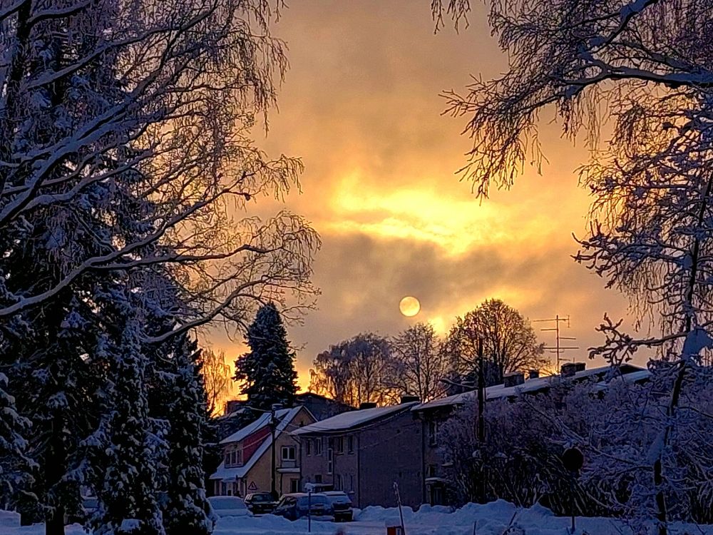 Photograph by Kristiina Soots