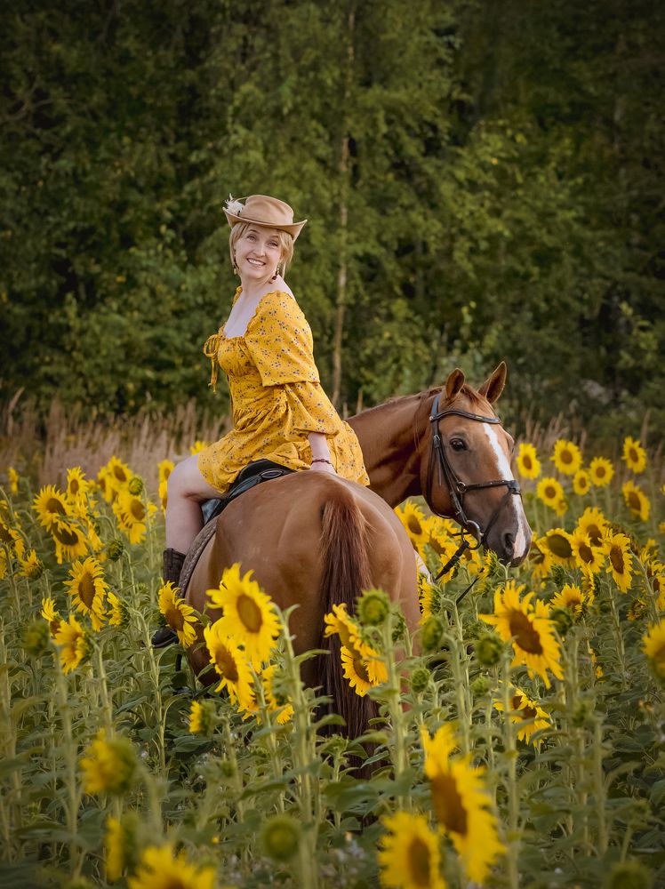 Подсолнухи