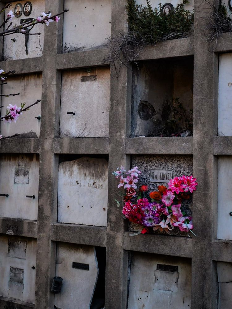 Photograph by Maria Julieta ZURZOLO