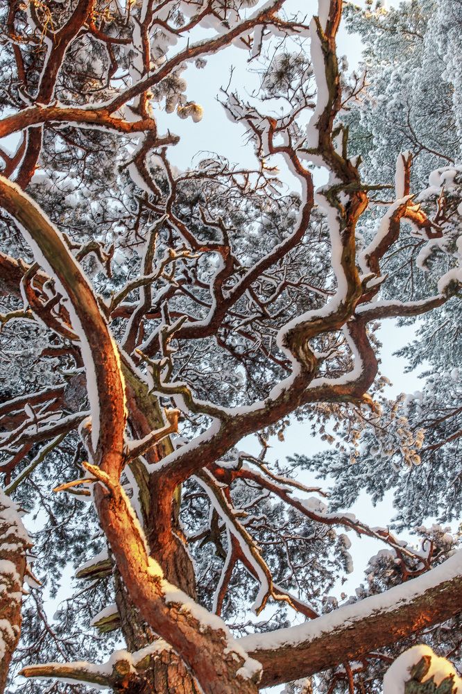 Photograph by Ivars Salmanis