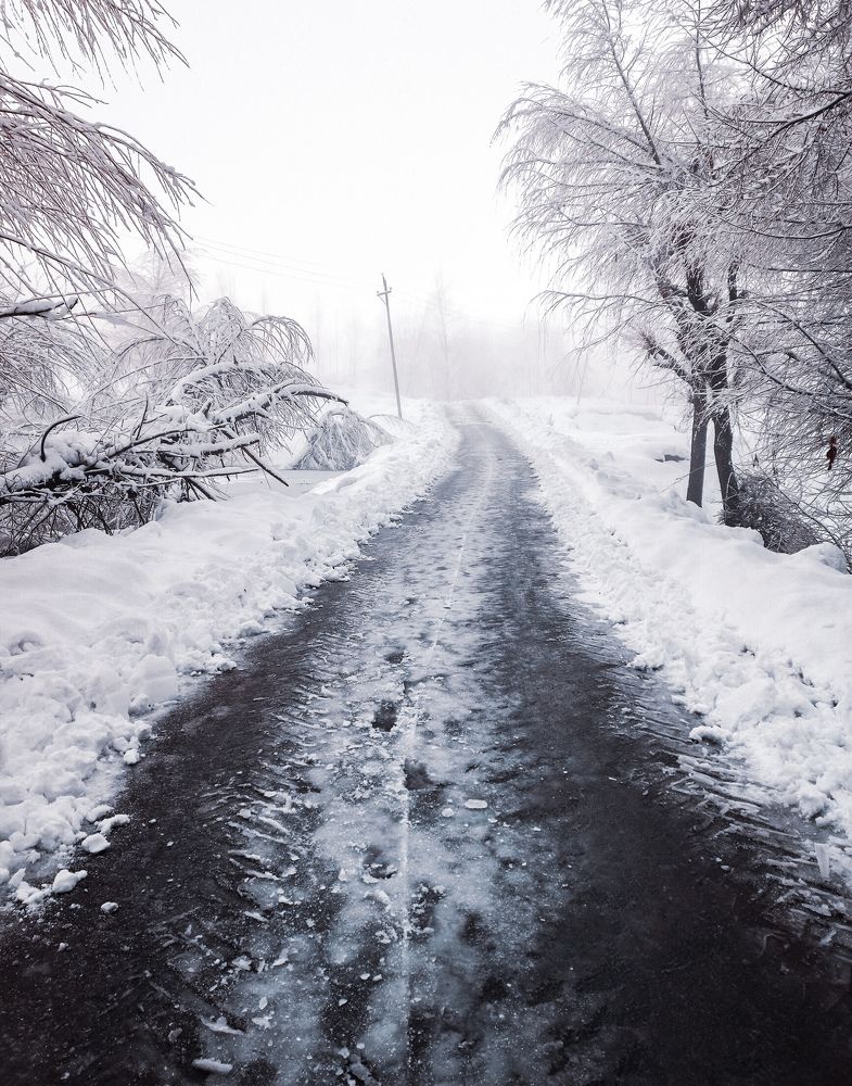 Photograph by Muneeb Najar