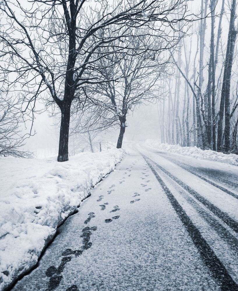 Photograph by Muneeb Najar