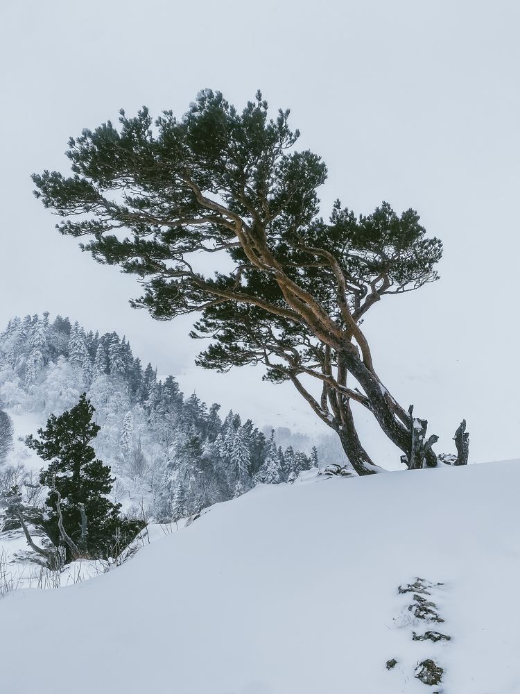 Photograph by Андрей Васильев