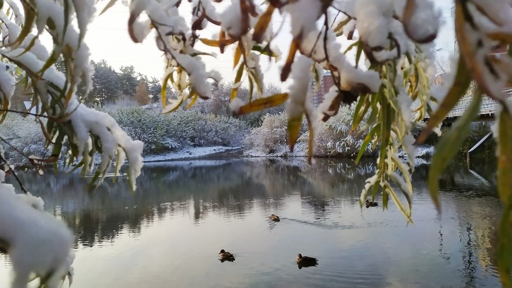 Photograph by Татьяна Лихачева