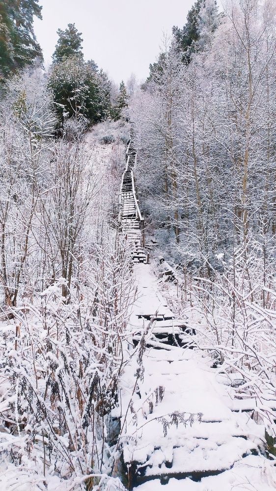 Photograph by Татьяна Лихачева