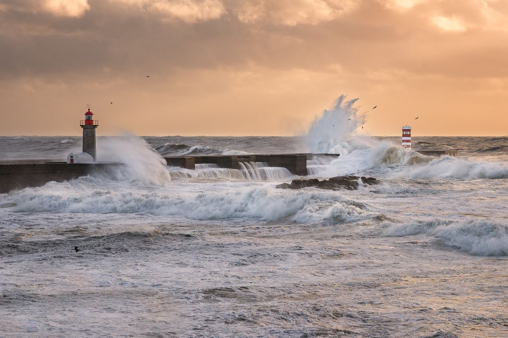 Photograph by Dace Spalvina