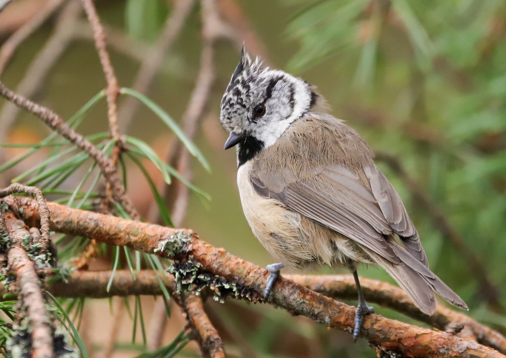 Photograph by Алексей