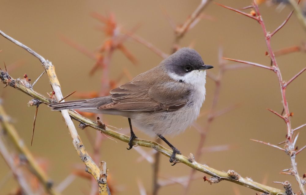 Photograph by Алексей