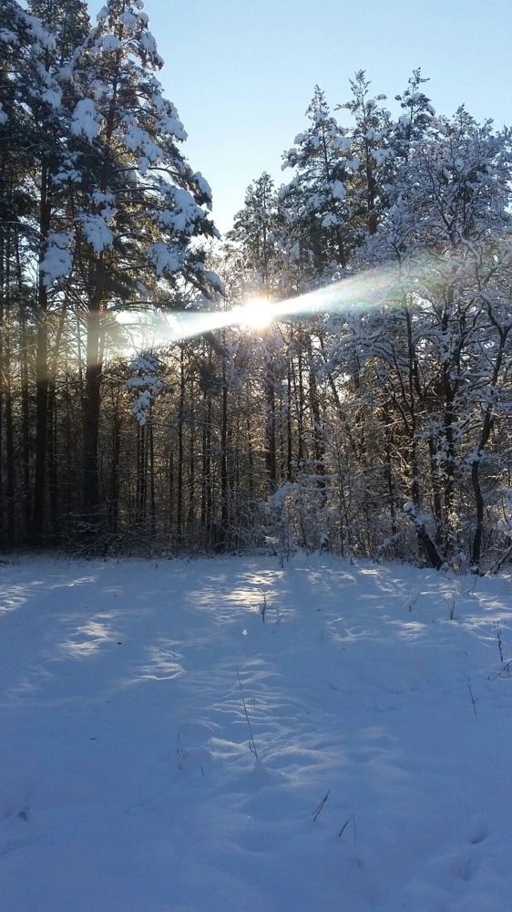 Photograph by Марина Гусева