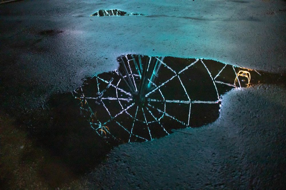 Photograph by Егор Рукавицин