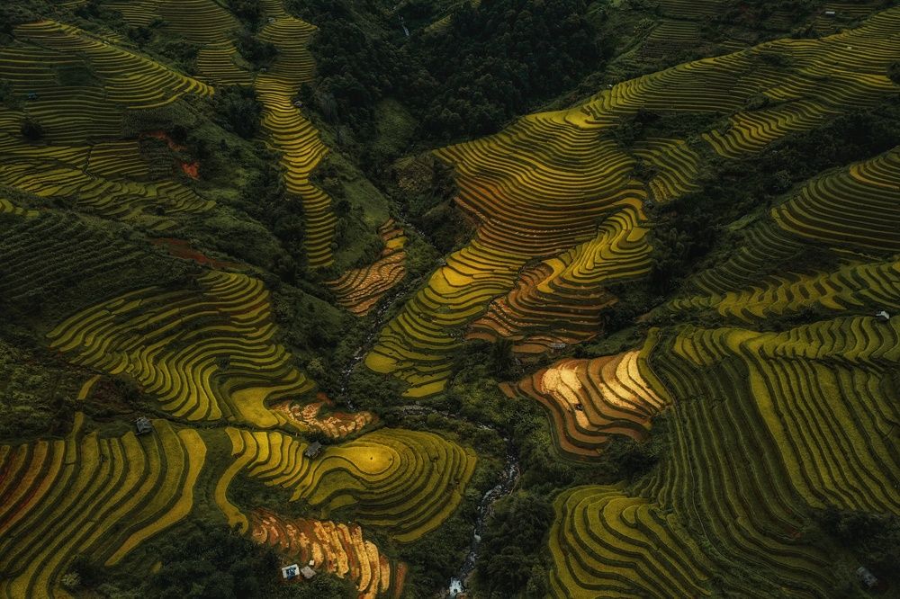 Photograph by Do Thi Thanh Binh
