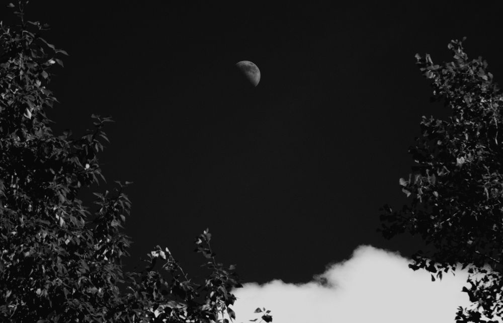 Photograph by Александр Перегудов